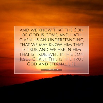 Picture 07 - 1 John 5:20 KJV - And we know that the Son of God is come, and hath - Bible Verse Picture