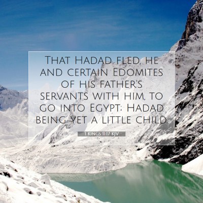 Picture 07 - 1 Kings 11:17 KJV - That Hadad fled, he and certain Edomites of his - Bible Verse Picture