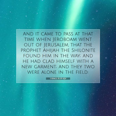 Picture 07 - 1 Kings 11:29 KJV - And it came to pass at that time when Jeroboam - Bible Verse Picture