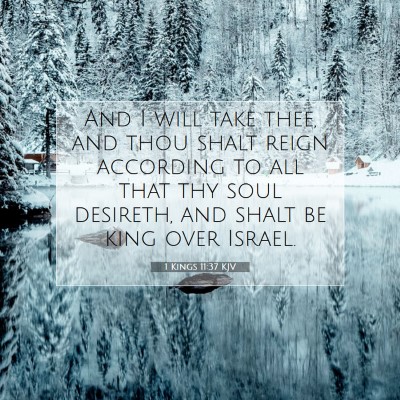 Picture 07 - 1 Kings 11:37 KJV - And I will take thee, and thou shalt reign - Bible Verse Picture