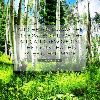 Picture 07 - 1 Kings 15:12 KJV - And he took away the sodomites out of the land, - Bible Verse Picture