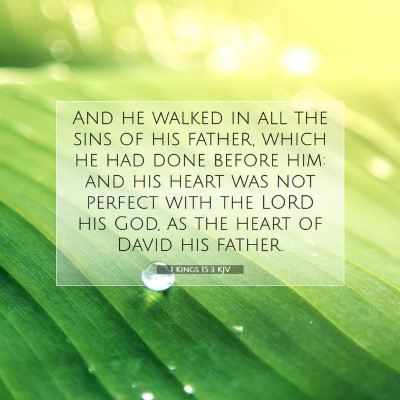 Picture 07 - 1 Kings 15:3 KJV - And he walked in all the sins of his father, - Bible Verse Picture