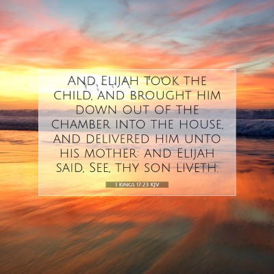 Picture 07 - 1 Kings 17:23 KJV - And Elijah took the child, and brought him down - Bible Verse Picture