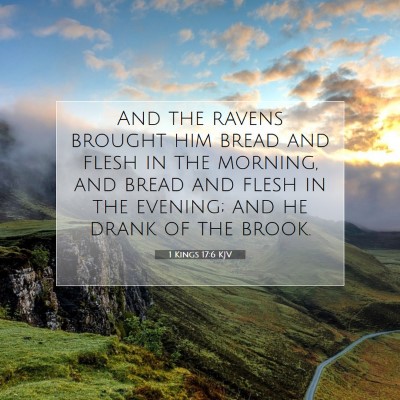 Picture 07 - 1 Kings 17:6 KJV - And the ravens brought him bread and flesh in the - Bible Verse Picture