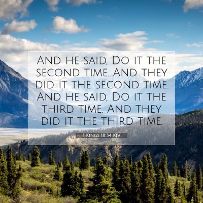 Picture 07 - 1 Kings 18:34 KJV - And he said, Do it the second time. And they did - Bible Verse Picture