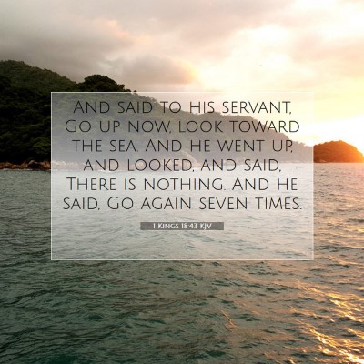 Picture 07 - 1 Kings 18:43 KJV - And said to his servant, Go up now, look toward - Bible Verse Picture