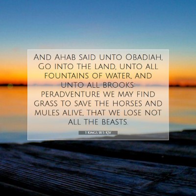 Picture 07 - 1 Kings 18:5 KJV - And Ahab said unto Obadiah, Go into the land, - Bible Verse Picture