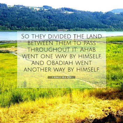 Picture 07 - 1 Kings 18:6 KJV - So they divided the land between them to pass - Bible Verse Picture
