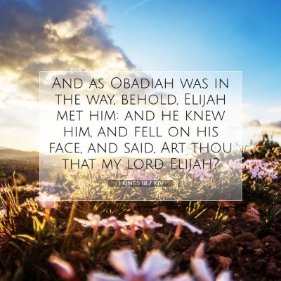 Picture 07 - 1 Kings 18:7 KJV - And as Obadiah was in the way, behold, Elijah met - Bible Verse Picture