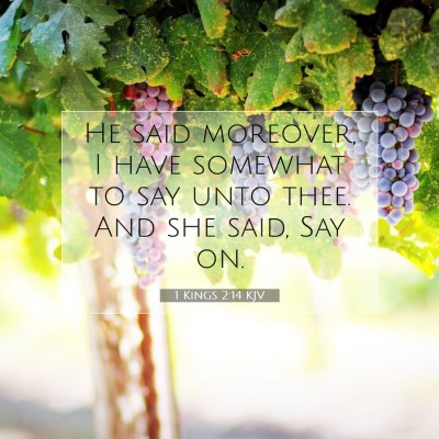 Picture 07 - 1 Kings 2:14 KJV - He said moreover, I have somewhat to say unto - Bible Verse Picture