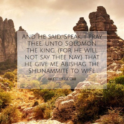 Picture 07 - 1 Kings 2:17 KJV - And he said, Speak, I pray thee, unto Solomon the - Bible Verse Picture