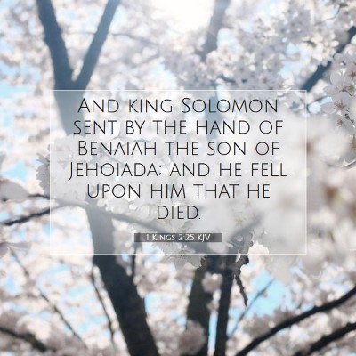 Picture 07 - 1 Kings 2:25 KJV - And king Solomon sent by the hand of Benaiah the - Bible Verse Picture