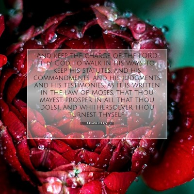 Picture 07 - 1 Kings 2:3 KJV - And keep the charge of the LORD thy God, to walk - Bible Verse Picture