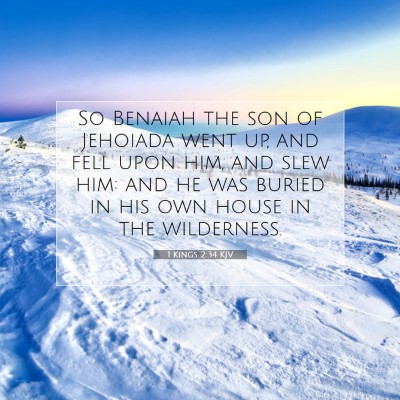 Picture 07 - 1 Kings 2:34 KJV - So Benaiah the son of Jehoiada went up, and fell - Bible Verse Picture