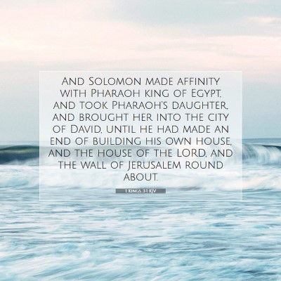 Picture 07 - 1 Kings 3:1 KJV - And Solomon made affinity with Pharaoh king of - Bible Verse Picture