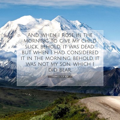 Picture 07 - 1 Kings 3:21 KJV - And when I rose in the morning to give my child - Bible Verse Picture