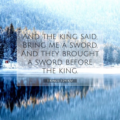 Picture 07 - 1 Kings 3:24 KJV - And the king said, Bring me a sword. And they - Bible Verse Picture