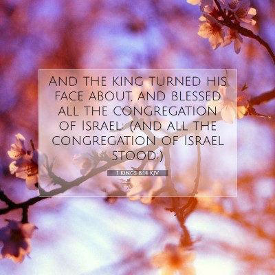 Picture 07 - 1 Kings 8:14 KJV - And the king turned his face about, and blessed - Bible Verse Picture