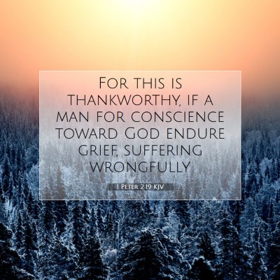 Picture 07 - 1 Peter 2:19 KJV - For this is thankworthy, if a man for conscience - Bible Verse Picture