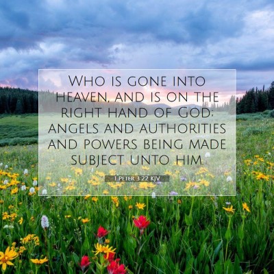 Picture 07 - 1 Peter 3:22 KJV - Who is gone into heaven, and is on the right hand - Bible Verse Picture