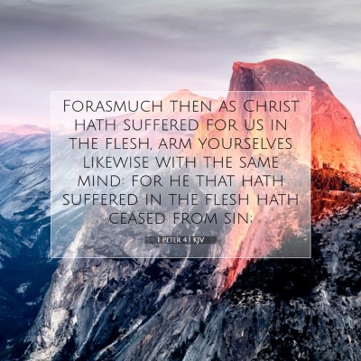Picture 07 - 1 Peter 4:1 KJV - Forasmuch then as Christ hath suffered for us in - Bible Verse Picture