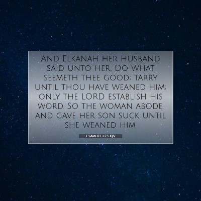 Picture 07 - 1 Samuel 1:23 KJV - And Elkanah her husband said unto her, Do what - Bible Verse Picture