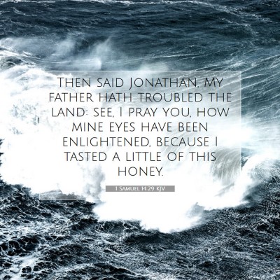 Picture 07 - 1 Samuel 14:29 KJV - Then said Jonathan, My father hath troubled the - Bible Verse Picture