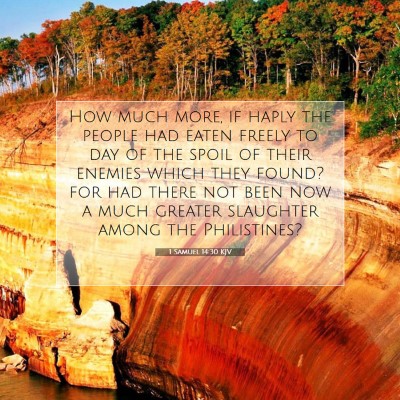 Picture 07 - 1 Samuel 14:30 KJV - How much more, if haply the people had eaten - Bible Verse Picture