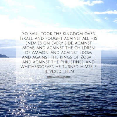 Picture 07 - 1 Samuel 14:47 KJV - So Saul took the kingdom over Israel, and fought - Bible Verse Picture