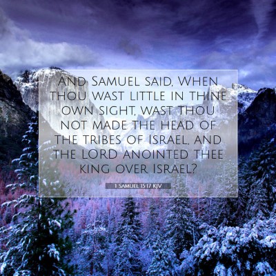 Picture 07 - 1 Samuel 15:17 KJV - And Samuel said, When thou wast little in thine - Bible Verse Picture