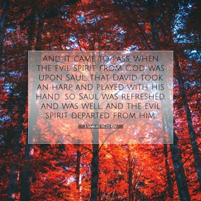 Picture 07 - 1 Samuel 16:23 KJV - And it came to pass, when the evil spirit from - Bible Verse Picture