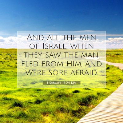 Picture 07 - 1 Samuel 17:24 KJV - And all the men of Israel, when they saw the man, - Bible Verse Picture