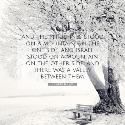Picture 07 - 1 Samuel 17:3 KJV - And the Philistines stood on a mountain on the - Bible Verse Picture