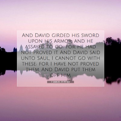 Picture 07 - 1 Samuel 17:39 KJV - And David girded his sword upon his armor, and he - Bible Verse Picture