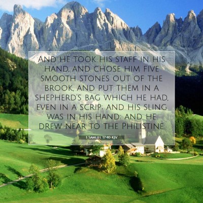 Picture 07 - 1 Samuel 17:40 KJV - And he took his staff in his hand, and chose him - Bible Verse Picture