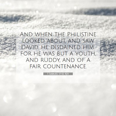 Picture 07 - 1 Samuel 17:42 KJV - And when the Philistine looked about, and saw - Bible Verse Picture