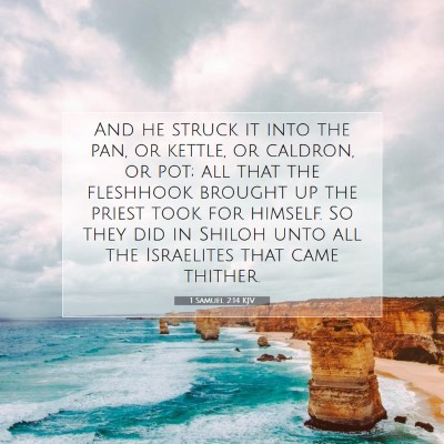 Picture 07 - 1 Samuel 2:14 KJV - And he struck it into the pan, or kettle, or - Bible Verse Picture