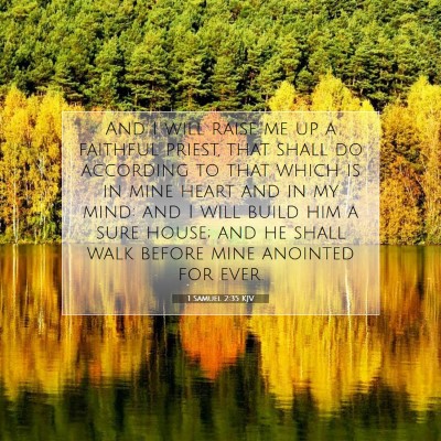 Picture 07 - 1 Samuel 2:35 KJV - And I will raise me up a faithful priest, that - Bible Verse Picture