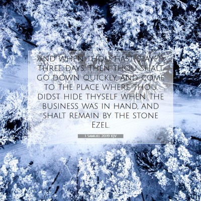Picture 07 - 1 Samuel 20:19 KJV - And when thou hast stayed three days, then thou - Bible Verse Picture