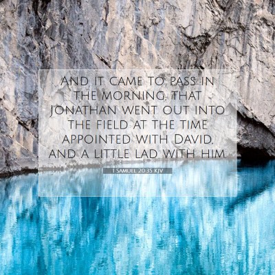 Picture 07 - 1 Samuel 20:35 KJV - And it came to pass in the morning, that Jonathan - Bible Verse Picture