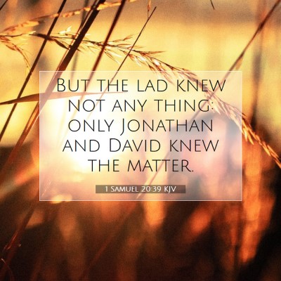 Picture 07 - 1 Samuel 20:39 KJV - But the lad knew not any thing: only Jonathan and - Bible Verse Picture