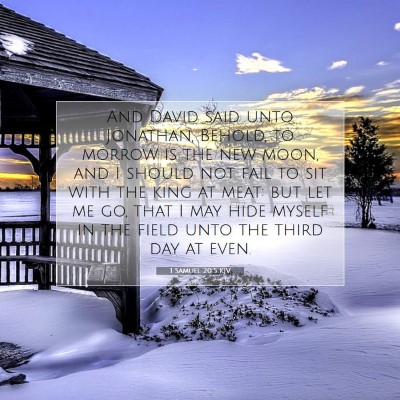 Picture 07 - 1 Samuel 20:5 KJV - And David said unto Jonathan, Behold, to morrow - Bible Verse Picture