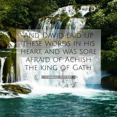 Picture 07 - 1 Samuel 21:12 KJV - And David laid up these words in his heart, and - Bible Verse Picture
