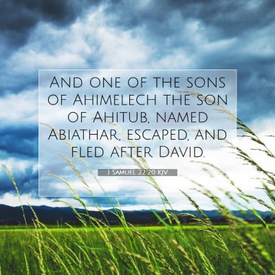 Picture 07 - 1 Samuel 22:20 KJV - And one of the sons of Ahimelech the son of - Bible Verse Picture