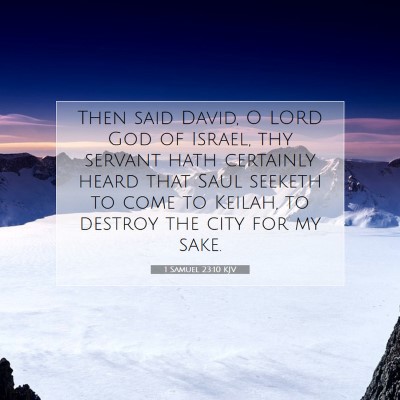Picture 07 - 1 Samuel 23:10 KJV - Then said David, O LORD God of Israel, thy - Bible Verse Picture
