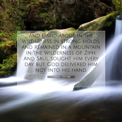 Picture 07 - 1 Samuel 23:14 KJV - And David abode in the wilderness in strong - Bible Verse Picture