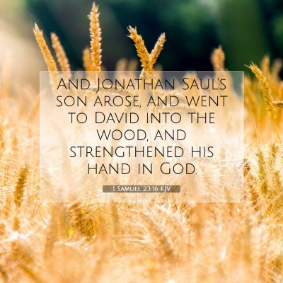 Picture 07 - 1 Samuel 23:16 KJV - And Jonathan Saul's son arose, and went to David - Bible Verse Picture
