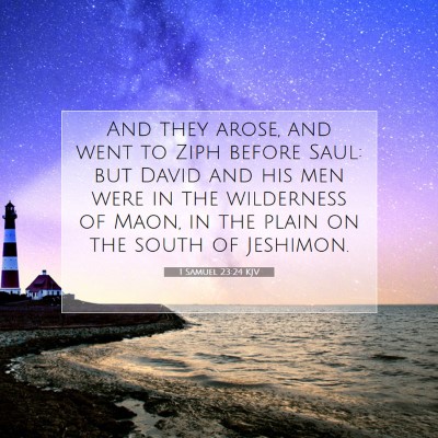 Picture 07 - 1 Samuel 23:24 KJV - And they arose, and went to Ziph before Saul: but - Bible Verse Picture