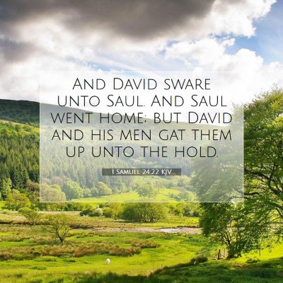 Picture 07 - 1 Samuel 24:22 KJV - And David sware unto Saul. And Saul went home; - Bible Verse Picture