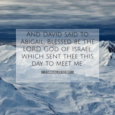 Picture 07 - 1 Samuel 25:32 KJV - And David said to Abigail, Blessed be the LORD - Bible Verse Picture